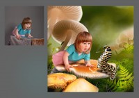 Уменьшенная копия