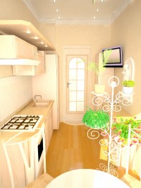 Уменьшенная копия