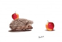 Уменьшенная копия