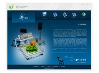 Уменьшенная копия