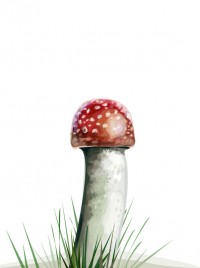 Уменьшенная копия