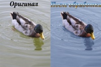 Уменьшенная копия