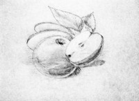 Уменьшенная копия