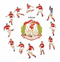 Уменьшенная копия