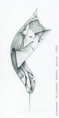 Уменьшенная копия