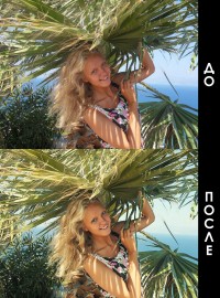 Уменьшенная копия