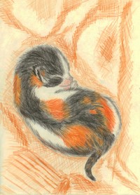 Уменьшенная копия