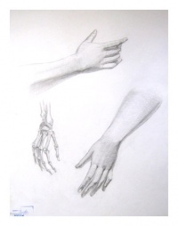 Уменьшенная копия