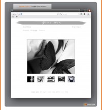 Уменьшенная копия