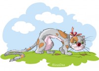 Уменьшенная копия