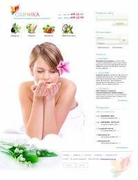 Уменьшенная копия