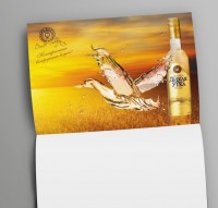 Уменьшенная копия