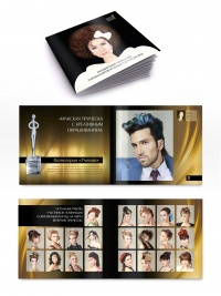 Уменьшенная копия